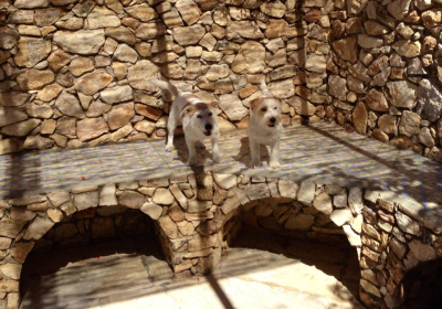 Casa Vacanze Villa Neruda
